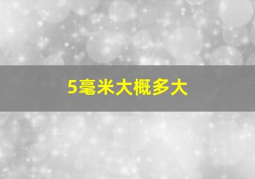 5毫米大概多大