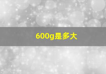 600g是多大