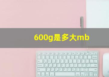 600g是多大mb