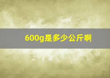 600g是多少公斤啊