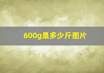 600g是多少斤图片