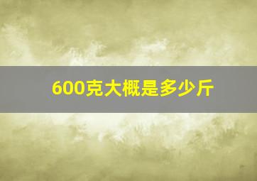 600克大概是多少斤