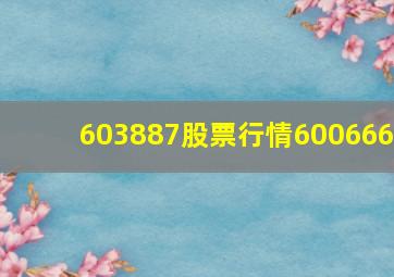 603887股票行情600666