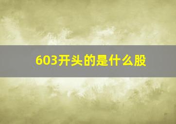 603开头的是什么股