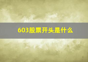 603股票开头是什么