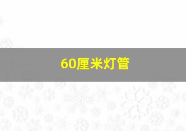 60厘米灯管