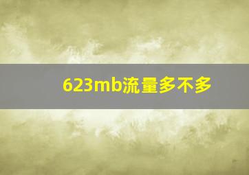 623mb流量多不多