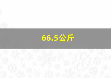 66.5公斤