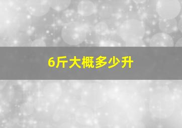 6斤大概多少升