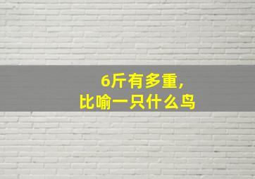 6斤有多重,比喻一只什么鸟