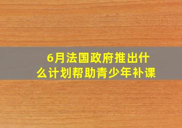 6月法国政府推出什么计划帮助青少年补课