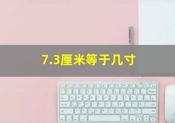 7.3厘米等于几寸