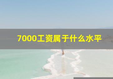 7000工资属于什么水平