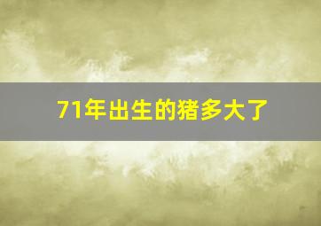 71年出生的猪多大了