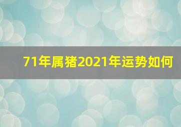 71年属猪2021年运势如何