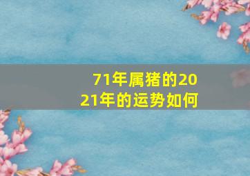 71年属猪的2021年的运势如何