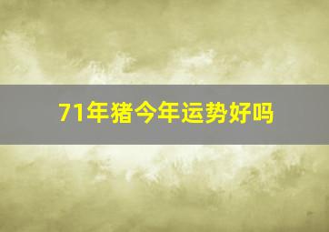 71年猪今年运势好吗