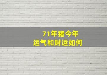 71年猪今年运气和财运如何