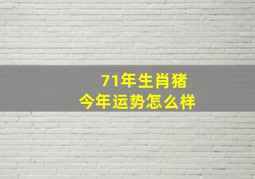 71年生肖猪今年运势怎么样