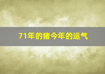 71年的猪今年的运气