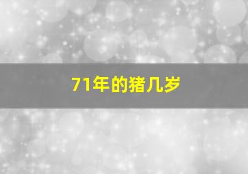 71年的猪几岁