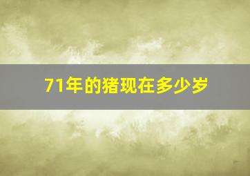 71年的猪现在多少岁