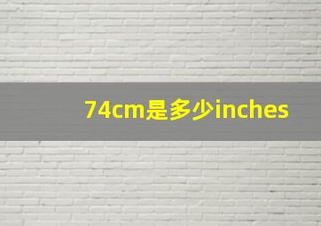 74cm是多少inches