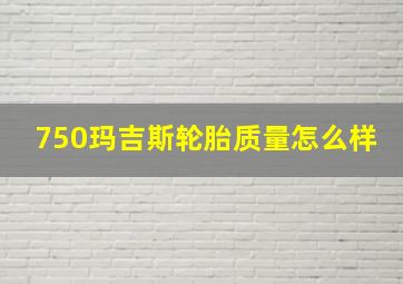 750玛吉斯轮胎质量怎么样