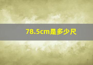 78.5cm是多少尺