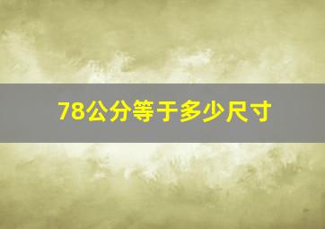 78公分等于多少尺寸