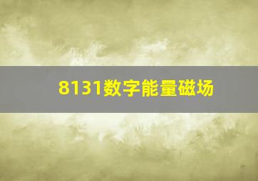 8131数字能量磁场