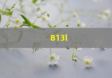 813l