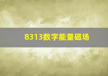 8313数字能量磁场