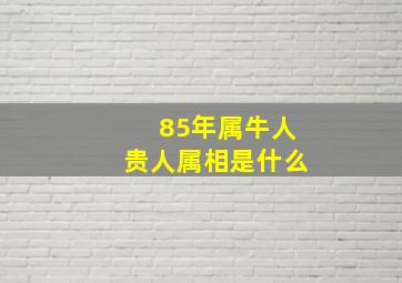 85年属牛人贵人属相是什么