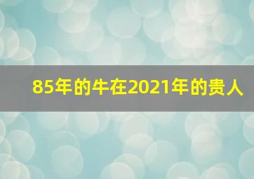 85年的牛在2021年的贵人