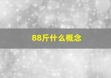 88斤什么概念