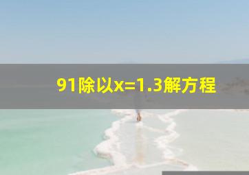 91除以x=1.3解方程