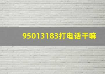 95013183打电话干嘛