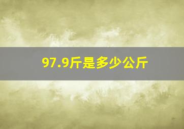 97.9斤是多少公斤