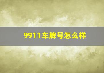 9911车牌号怎么样