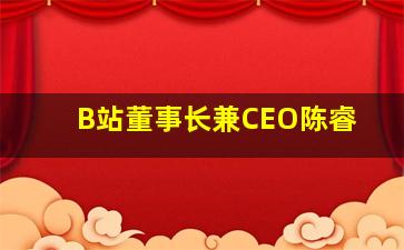 B站董事长兼CEO陈睿