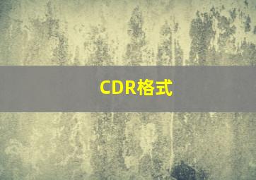 CDR格式