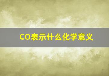 CO表示什么化学意义