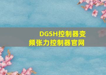 DGSH控制器变频张力控制器官网