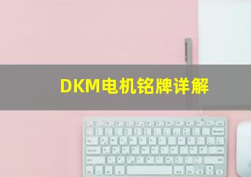 DKM电机铭牌详解