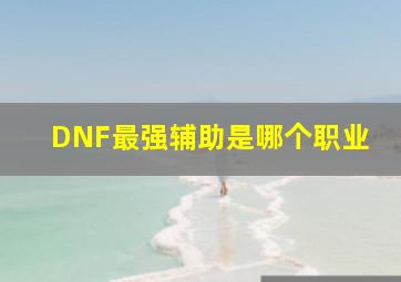 DNF最强辅助是哪个职业