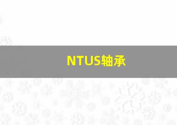 NTUS轴承