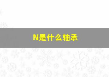 N是什么轴承