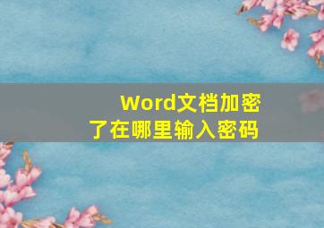 Word文档加密了在哪里输入密码