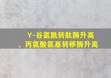 Y-谷氨酰转肽酶升高、丙氨酸氨基转移酶升高